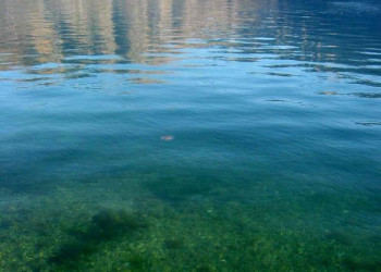 Море в Которском заливе, Черногория. Фото 17 – фотографии Черногории