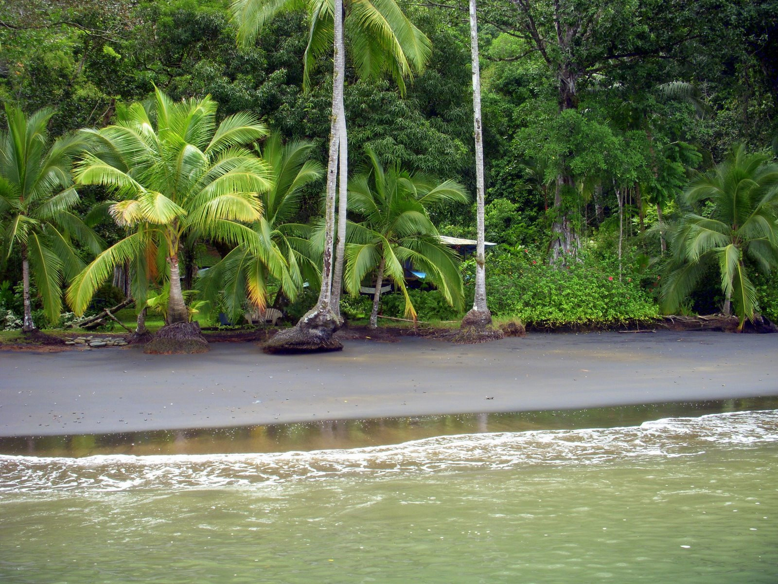 Гольфито, Пунтаренас провинция, Коста-Рика, фото № 40412 – фотографии Коста-Рики