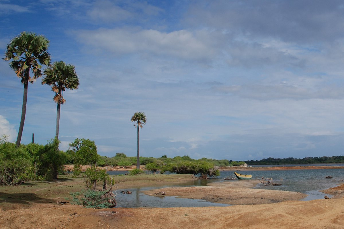 Шри-Ланка, фото № 1165 – фотографии Шри-Ланки
