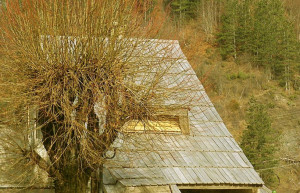 Дом в Колашин, Черногория – фотографии Черногории