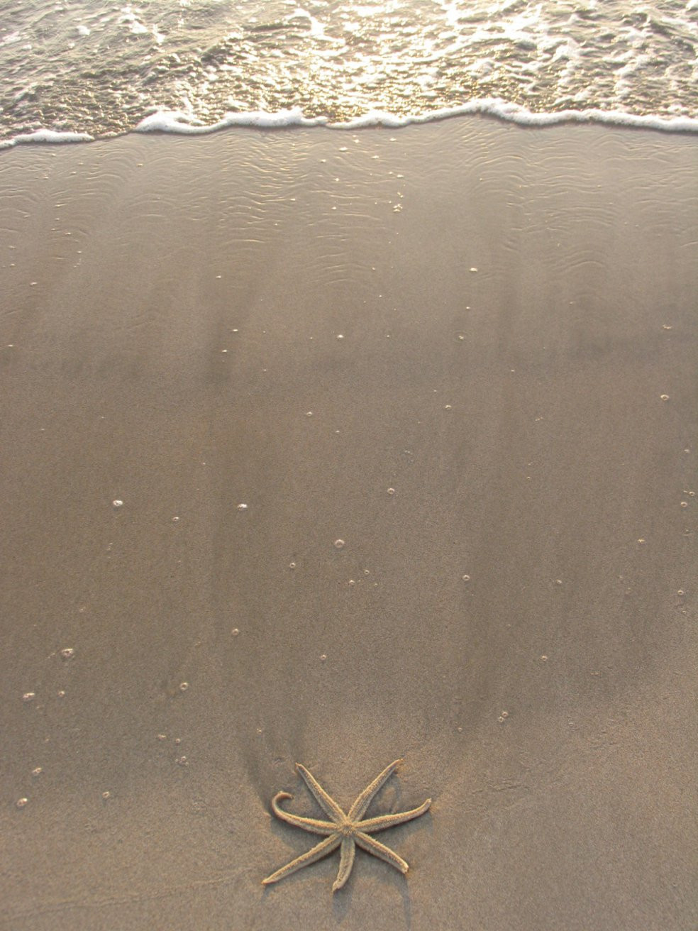 Тринкомали, Шри-Ланка, фото № 52441 – фотографии Шри-Ланки