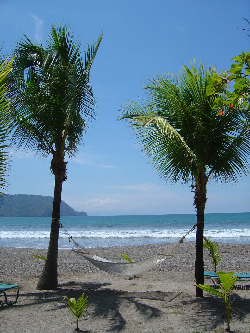 Тамбор, Пунтаренас провинция, Коста-Рика, фото № 41112 – фотографии Коста-Рики