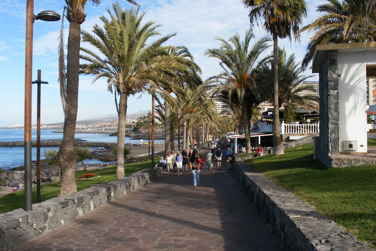 Плайя-де-лас-Америкас, Тенерифе остров, Канарские острова, фото № 33541 – фотографии Канарских островов