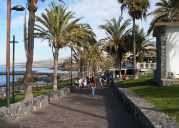 Плайя-де-лас-Америкас, Тенерифе остров, Канарские острова, фото № 33541 – фотографии Канарских островов