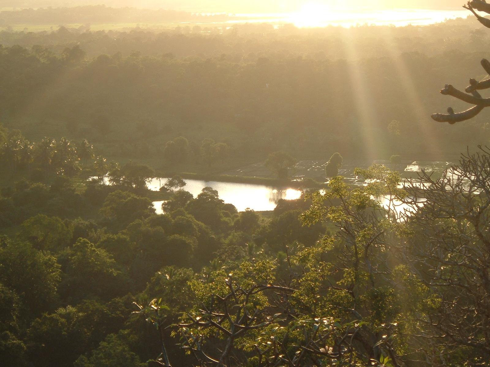 Дамбулла, Шри-Ланка, фото № 51089 – фотографии Шри-Ланки