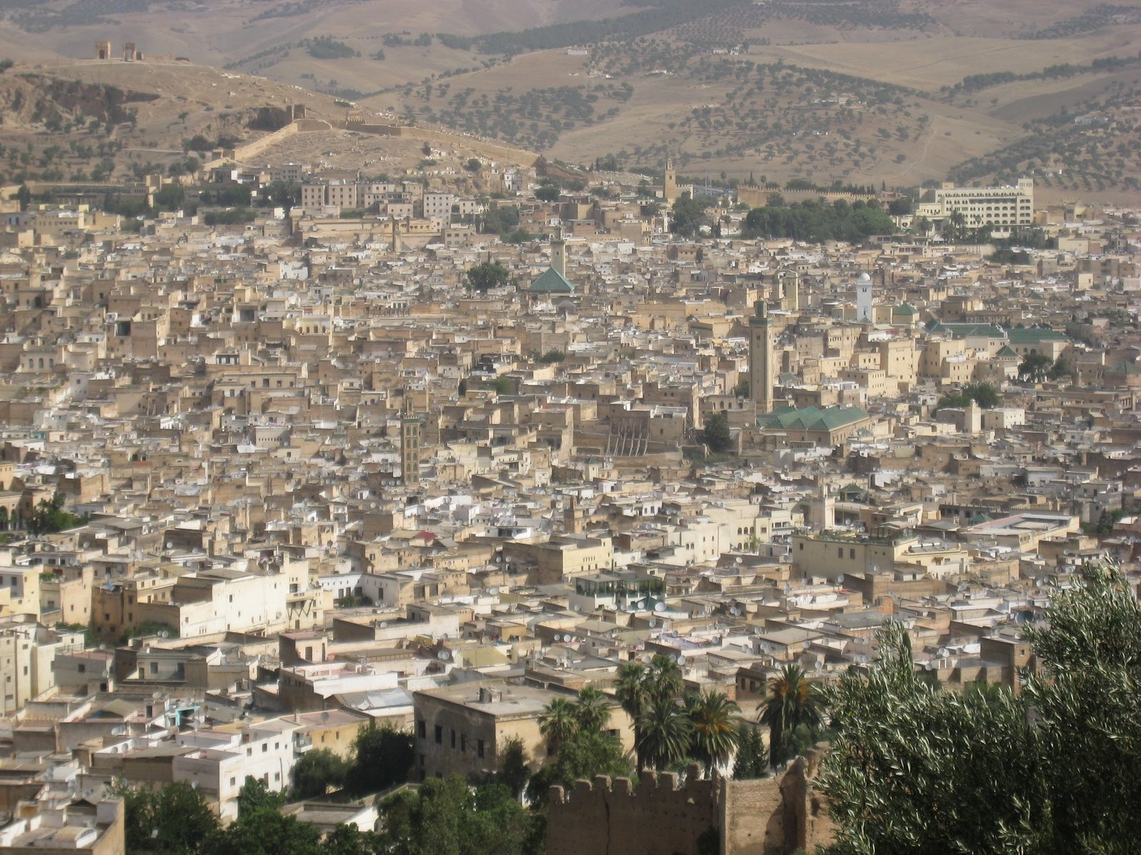 Фес, Марокко, фото № 8577 – фотографии Марокко