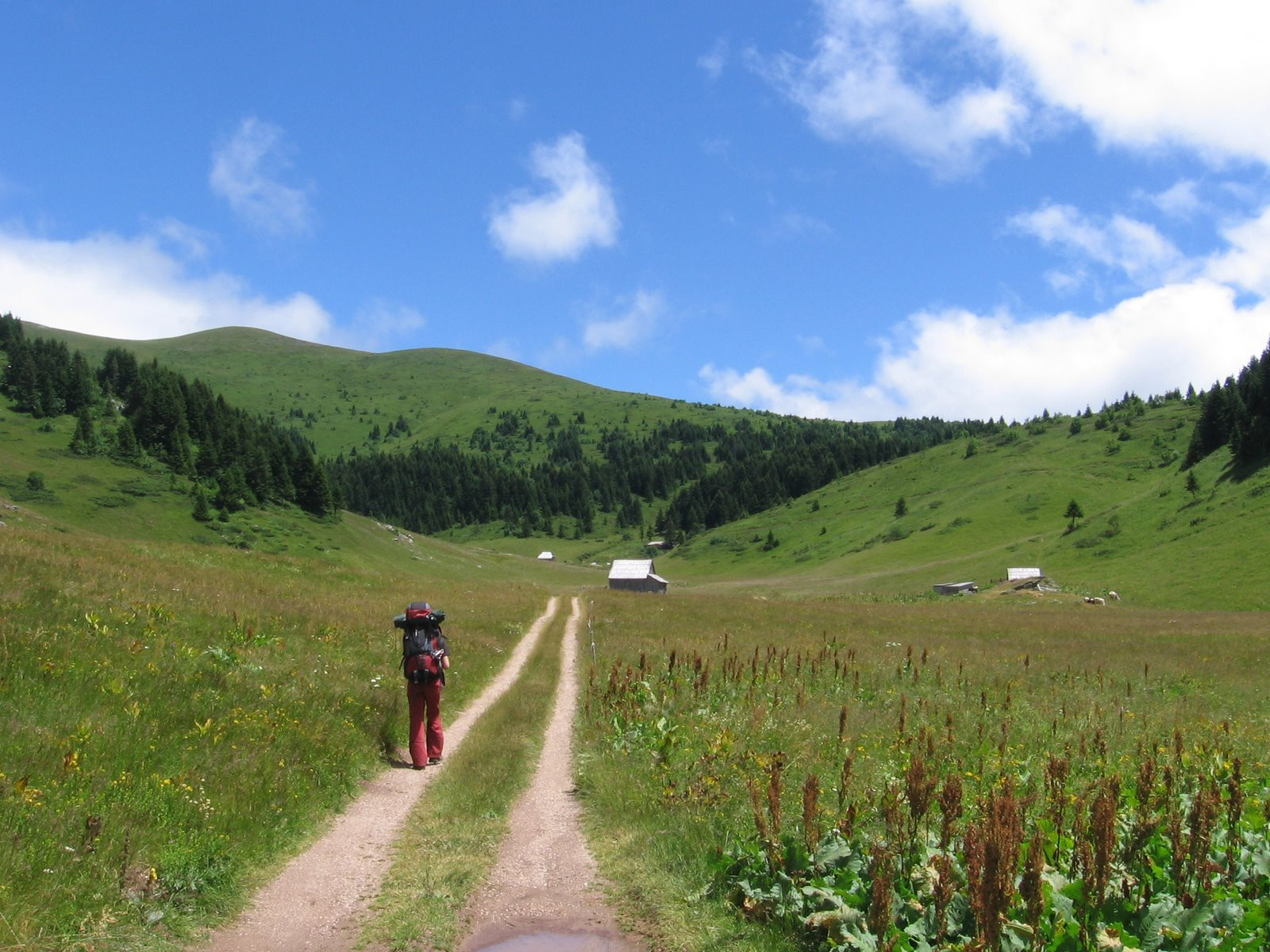 Турист в Национальном парке, Черногория. Фото 1 – фотографии Черногории