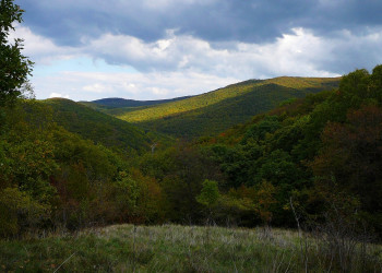 Бюкк Национальный Парк, Венгрия, фото № 70083 – фотографии Венгрии