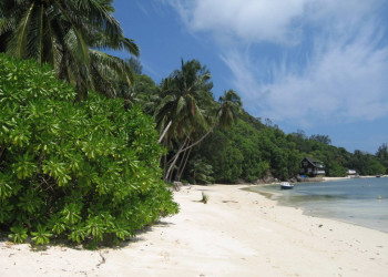 Остров Серф, сейшелы. Фото 7 – фотографии Сейшельских островов