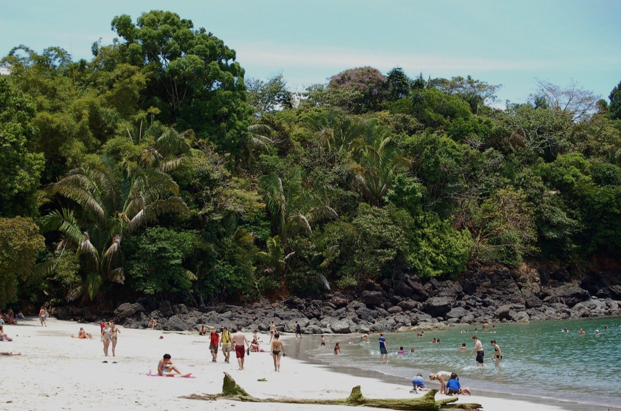 Мануэль Антонио, Пунтаренас провинция, Коста-Рика, фото № 40603 – фотографии Коста-Рики