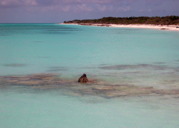 Море на острове  Лонг Айленд, Багамские острова. Фото 6 – фотографии Багамских островов