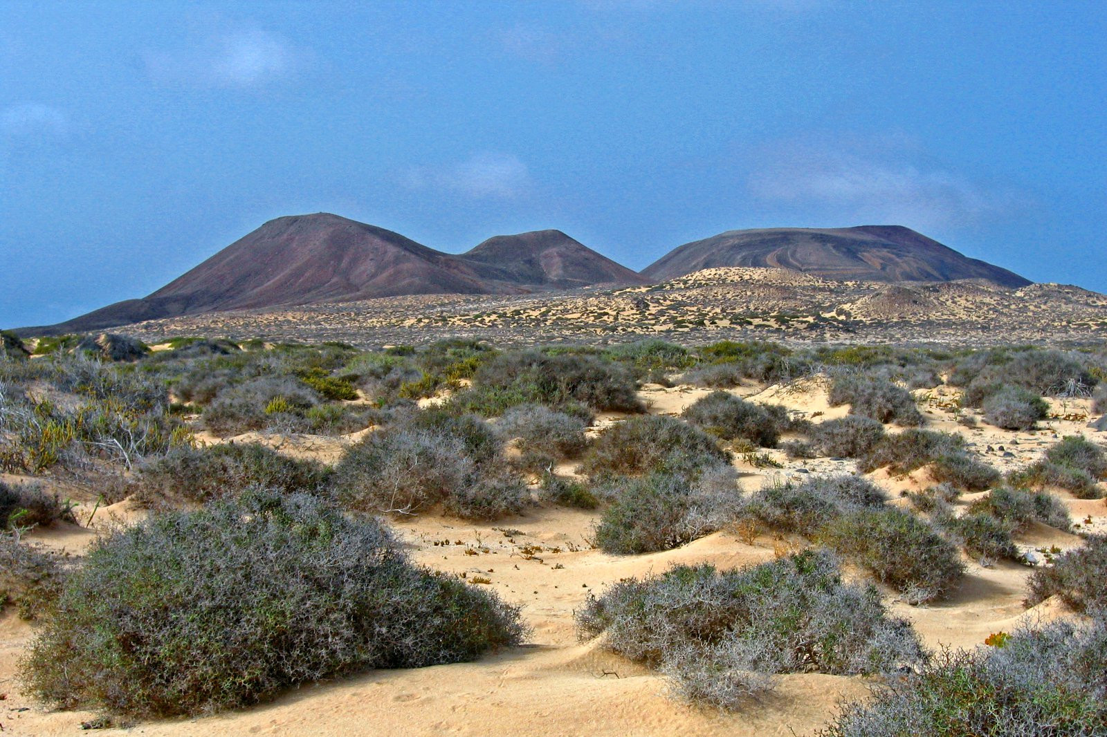 Ла-Грасиоса остров, Канарские острова, фото № 31761 – фотографии Канарских островов