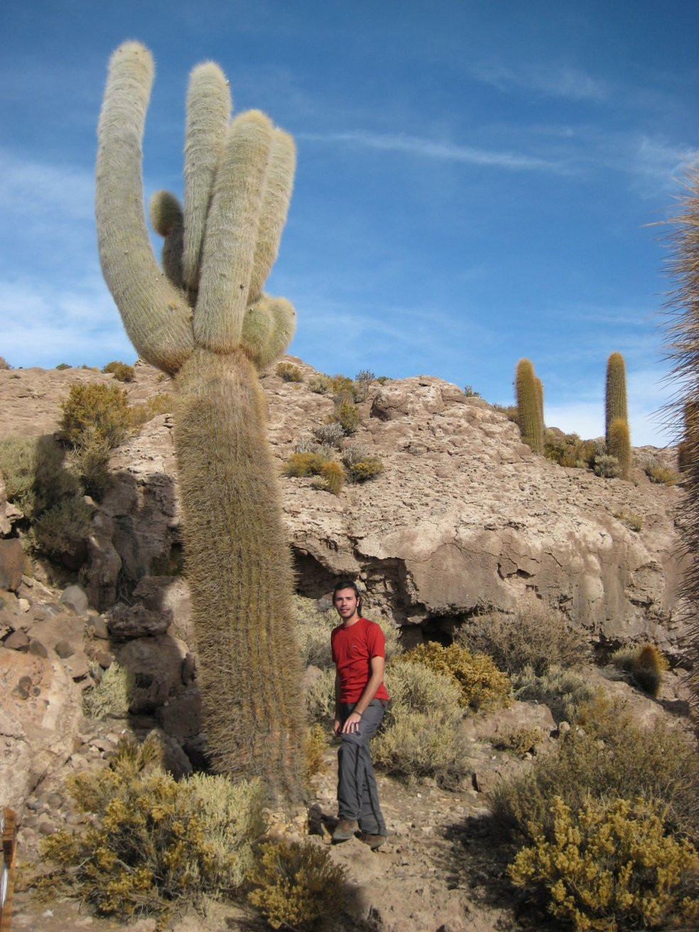 Уюни солончак, Боливия, фото № 70376 – фотографии Боливии