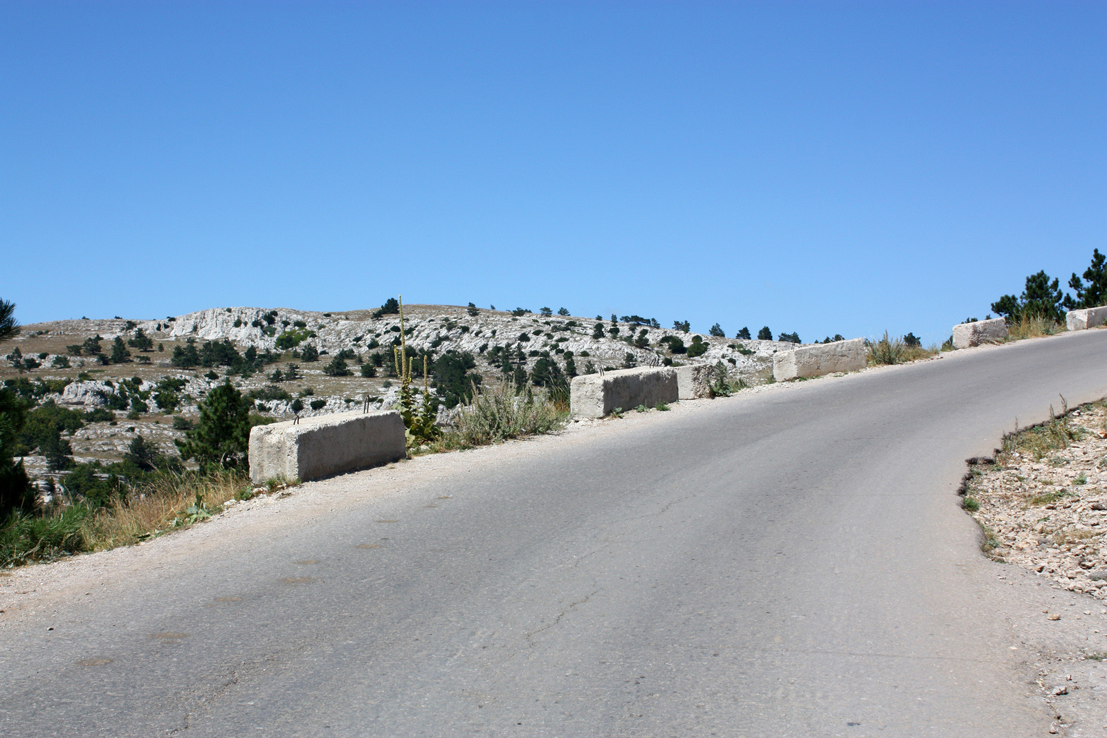 Горная дорога к Ай-Петри, Крым – фотографии России