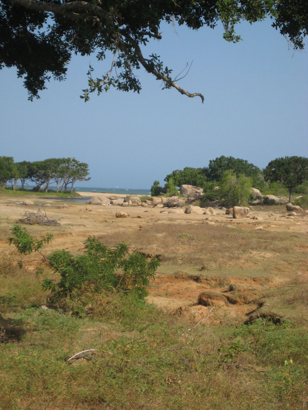 Яла Национальный Парк, Шри-Ланка, фото № 52672 – фотографии Шри-Ланки