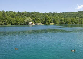Плитвицкое озеро, Хорватия. Фото 15 – фотографии Хорватии