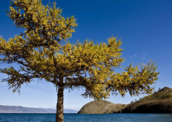 Озеро Байкал, Россия. Фото 25 – фотографии России