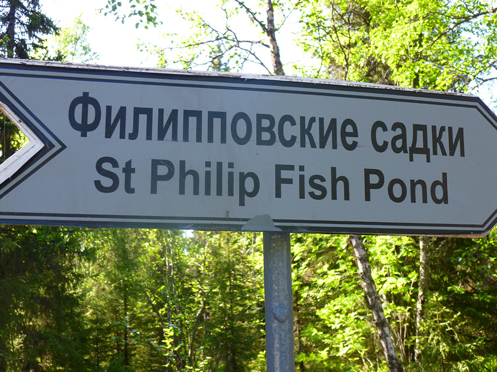 Филипповские садки – фотографии России