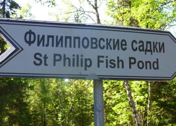 Филипповские садки – фотографии России