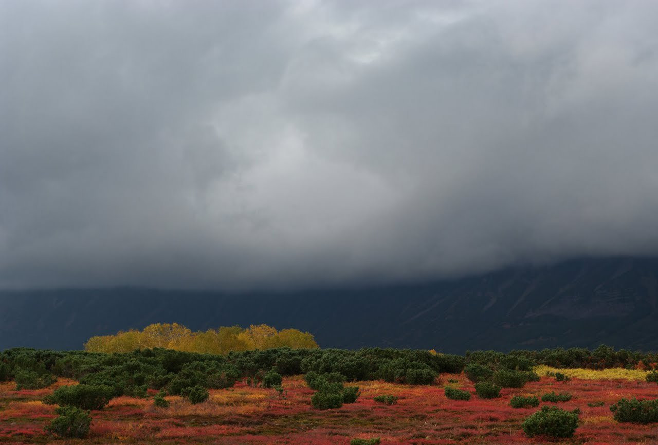 Национальный парк в Долине гейзеров, Россия. Фото 2 – фотографии России