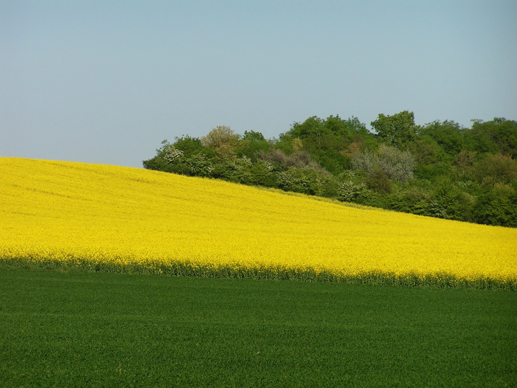 Великолепная фотка – фотографии Венгрии