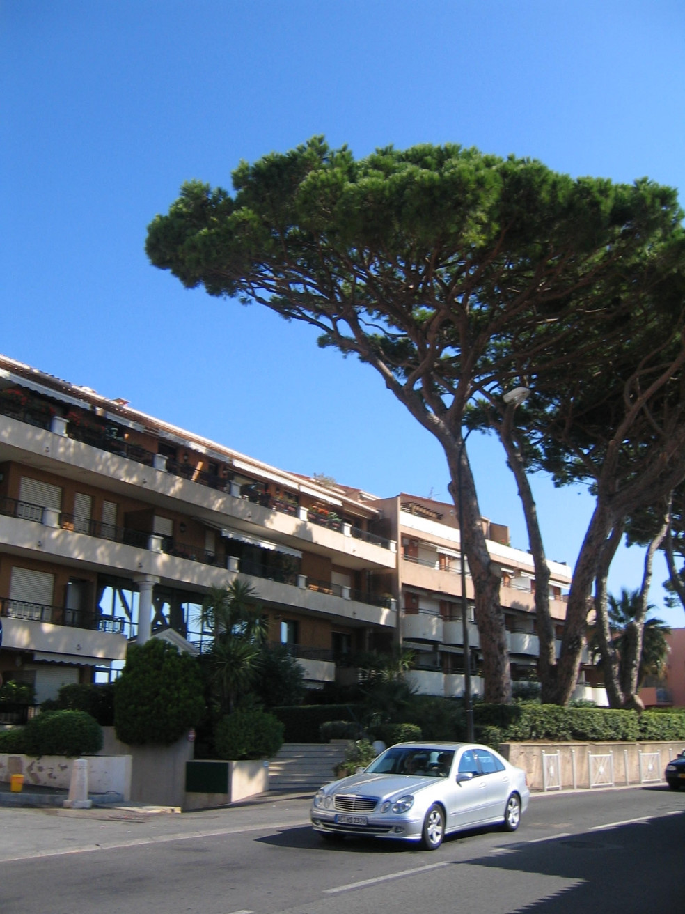 Отель в Сен-Максим, Франция – фотографии Франции