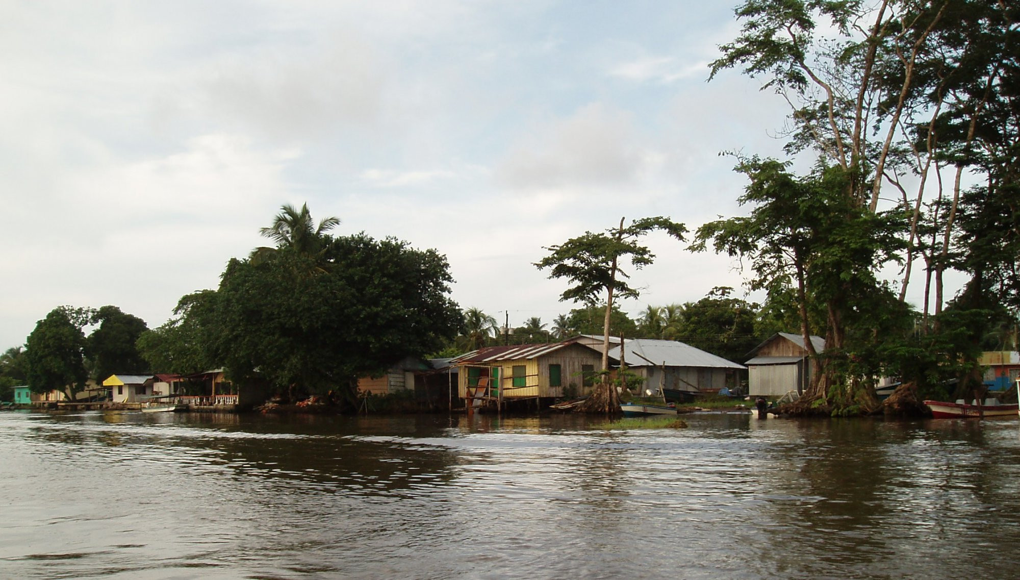 Тортугеро, Лимон провинция, Коста-Рика, фото № 40304 – фотографии Коста-Рики