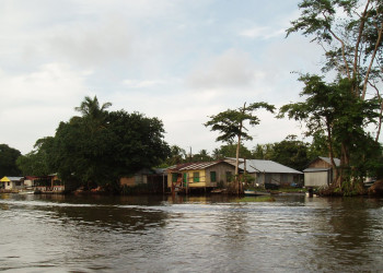 Тортугеро, Лимон провинция, Коста-Рика, фото № 40304 – фотографии Коста-Рики