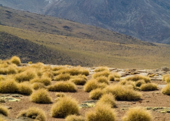 Боливия, фото № 2886 – фотографии Боливии