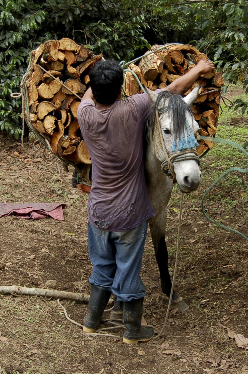Атитлан озеро, Гватемала, фото № 70934 – фотографии Гватемалы