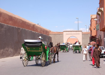 Марракеш, Марокко, фото № 7718 – фотографии Марокко