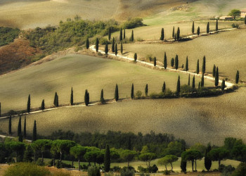 Тоскана, Италия, фото № 77954 – фотографии Италии