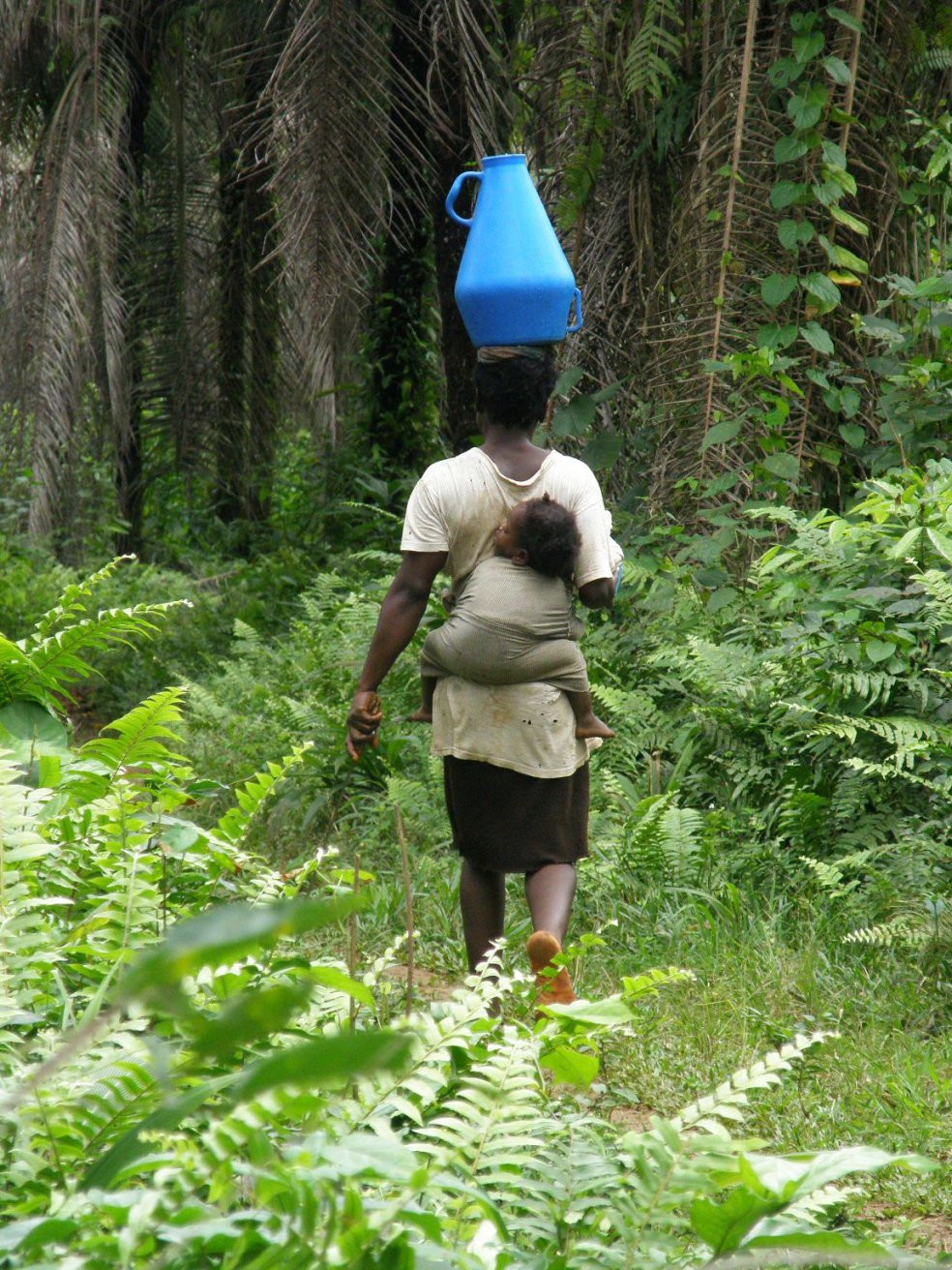 Принсипи остров, Сан-Томе и Принсипи, фото № 58546 – фотографии Сан-Томе и Принсипи