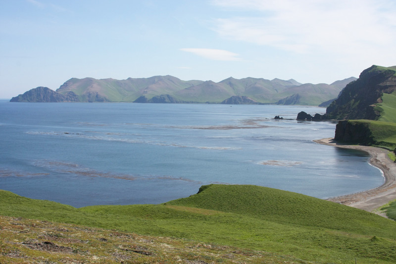 Командорские острова. Фото 13 – фотографии России