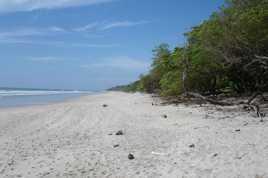 Плайя Санта Тереса, Пунтаренас провинция, Коста-Рика, фото № 40937 – фотографии Коста-Рики