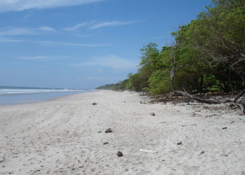 Плайя Санта Тереса, Пунтаренас провинция, Коста-Рика, фото № 40937 – фотографии Коста-Рики