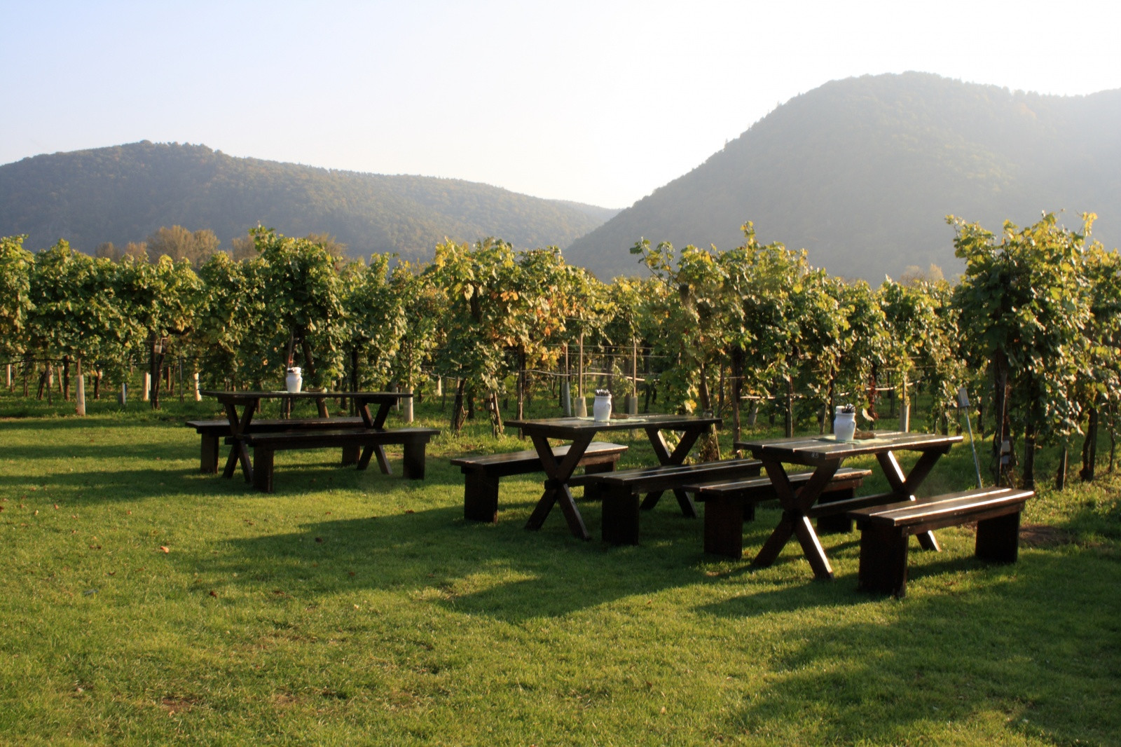 Дюрнштайн (Dürnstein) – фотографии Австрии