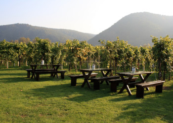 Дюрнштайн (Dürnstein) – фотографии Австрии