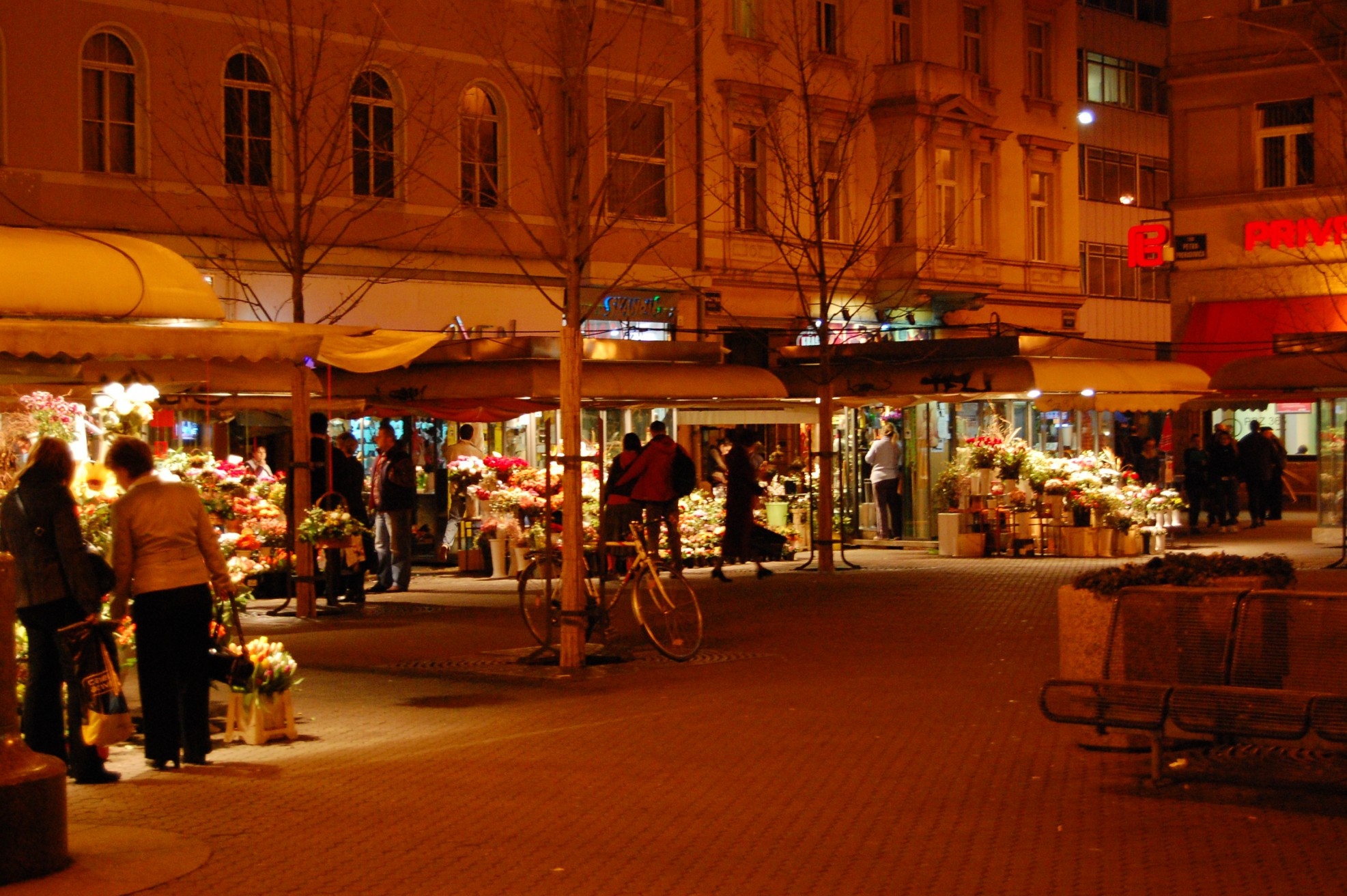 Ночная жизнь в Загребе, Хорватия – фотографии Хорватии