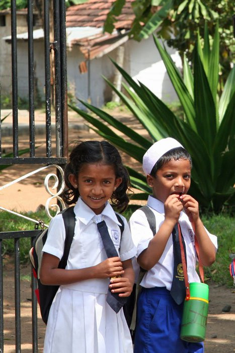 Шри-Ланка, фото № 1146 – фотографии Шри-Ланки