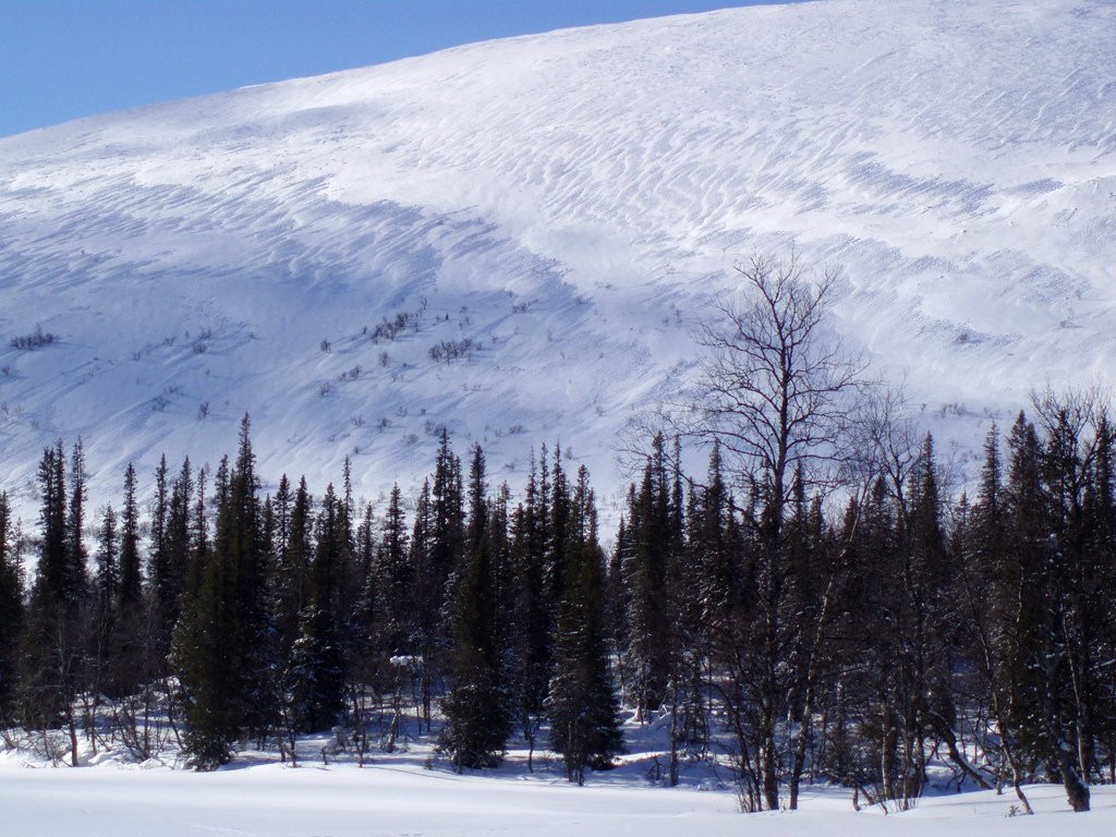 Паллас, Финляндия, фото № 74810 – фотографии Финляндии