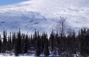 Паллас, Финляндия, фото № 74810 – фотографии Финляндии