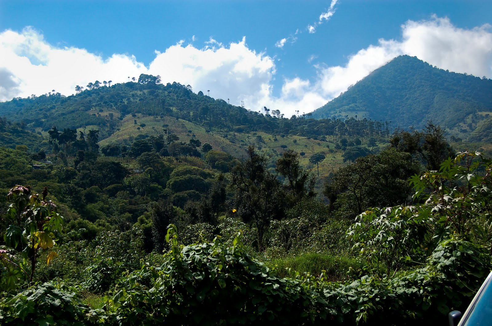 Природа, Гватемала – фотографии Гватемалы