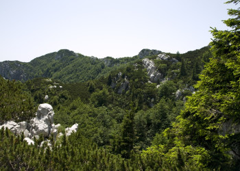 Природа в Рисняк, Хорватия. Фото 17 – фотографии Хорватии