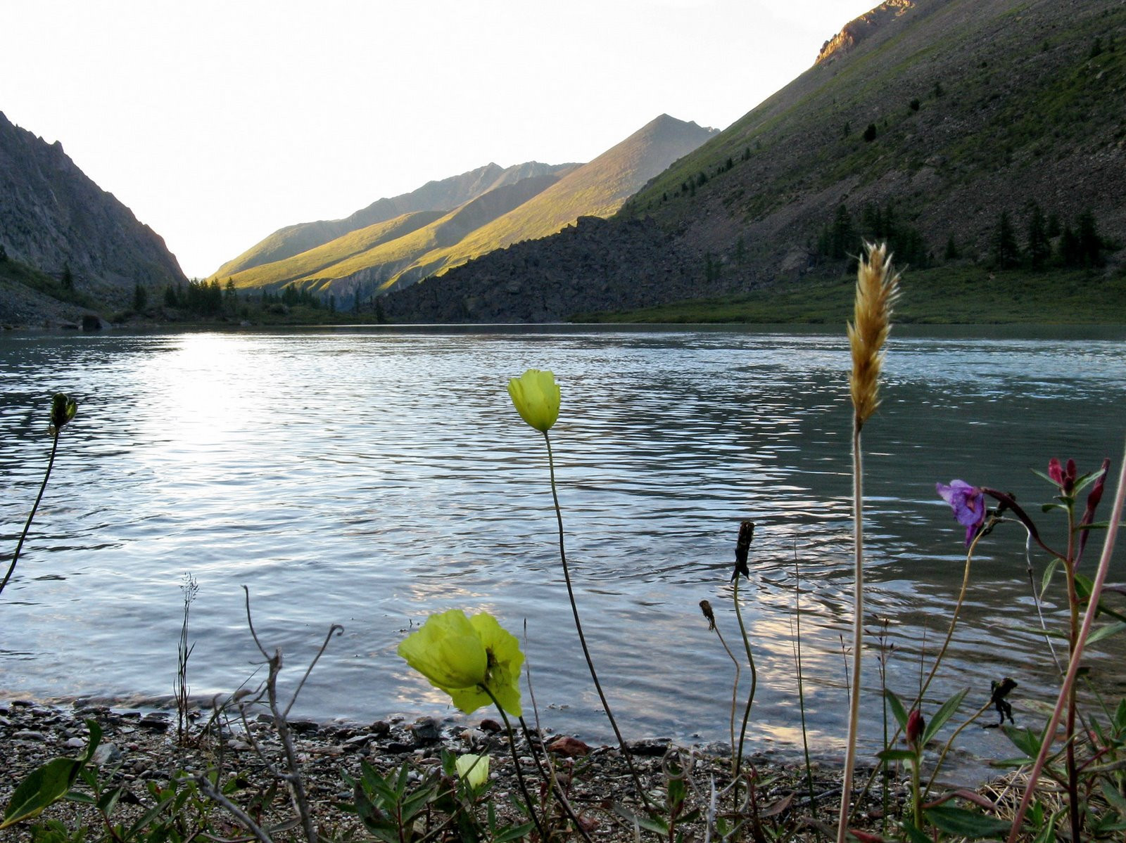 Шавлинские озёра на Алтае, Россия. Фото 6 – фотографии России