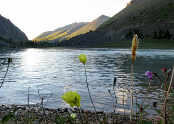 Шавлинские озёра на Алтае, Россия. Фото 6 – фотографии России