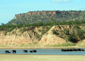Зимбабве. Фото 4 – фотографии Зимбабве