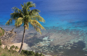 Дравуни остров, Кадаву группа островов, Фиджи, фото № 48575 – фотографии Фиджи
