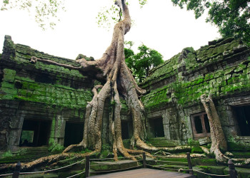 Ангкор-Ват (Angkor Wat) – фотографии Камбоджи