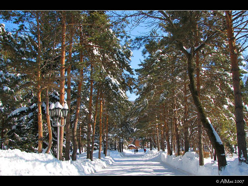 Парк в Шмаковке, Россия. Фото 1 – фотографии России